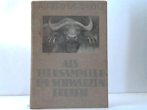 Weidholz, Alfred - Als Tiersammler im schwarzen Erdteil