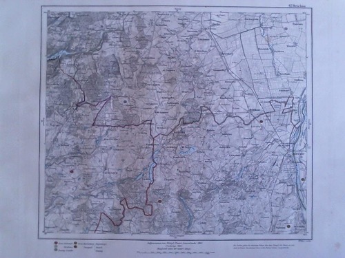 (Westpreussen) - Dirschau - Teilcolorierte Karte im Kupferstich von H. Petters