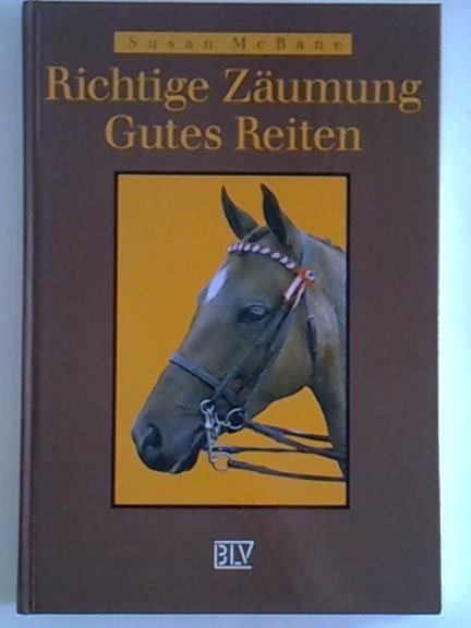 Richtige Zäumung Gutes Reiten