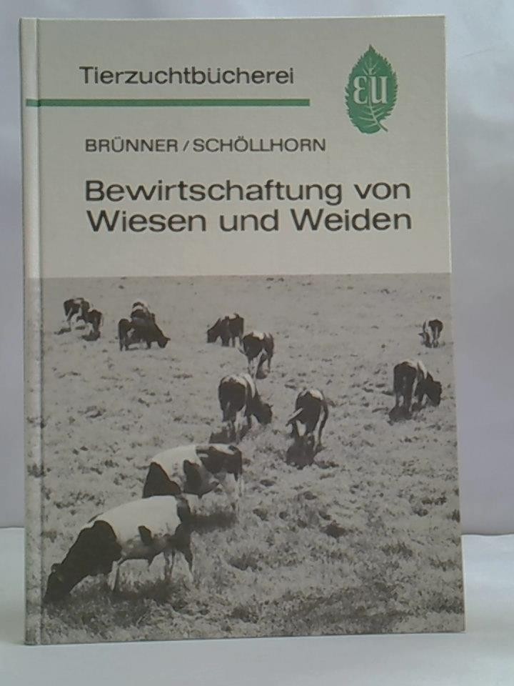 Ohne Bild