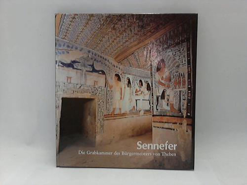 Gundlach/Nelson/Hassanein/Helck/Kurz/Desroches - Sennefer. Die Grabkammer des Brgermeisters von Theben