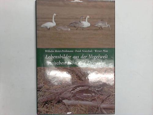 Meier-Peithmann, Wilhelm / Neuschulz, Frank / Plinz, Werner - Lebensbilder aus der Vogelwelt zwischen Elbe und Drawehn