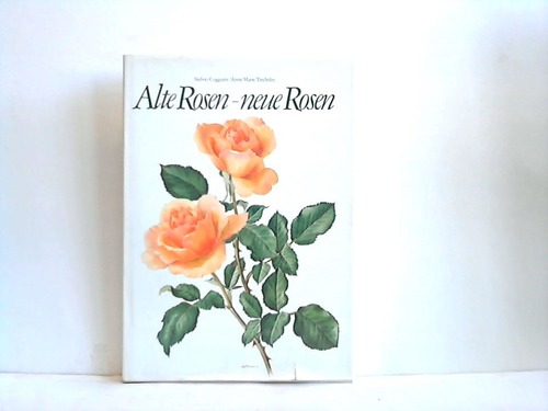 Goggiatti, Stelvio/Trechslin, Anne Marie - Alte Rosen - neue Rosen