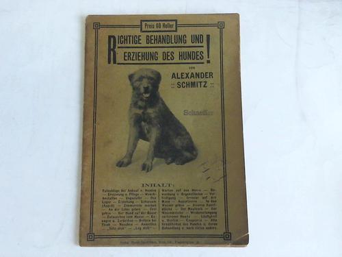 Schmitz, Alexander - Richtige Behandlung und Erziehung des Hundes