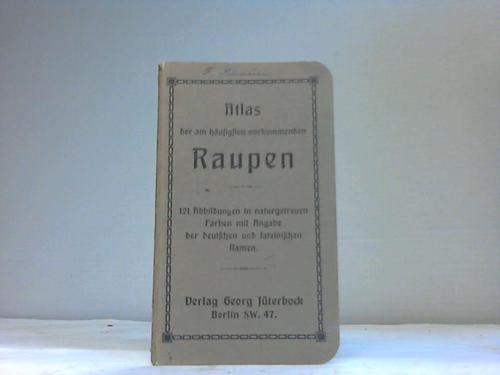 Jterbrock, Georg - Atlas der am hufigsten vorkommenden Raupen