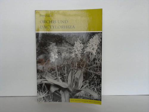 Fller, Fritz - Orchis und Dactylorhiza. Orchideen Mitteleuropas, 3. Teil
