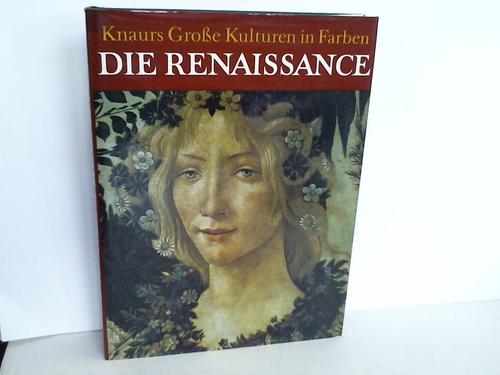Hay, Denys (Hrsg.) - Die Renaissance