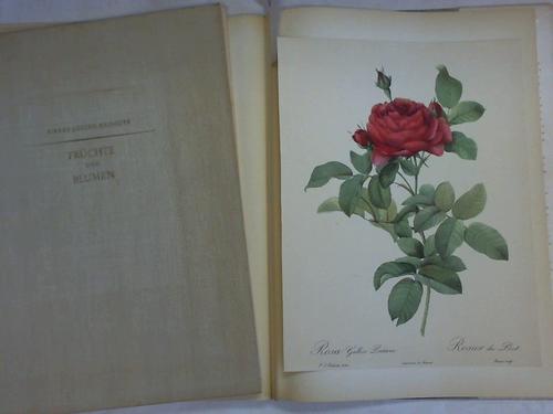 Redoute, Pierre-Joseph - Rosen. Ausgewhlt und eingeleitet von Eva Mannering