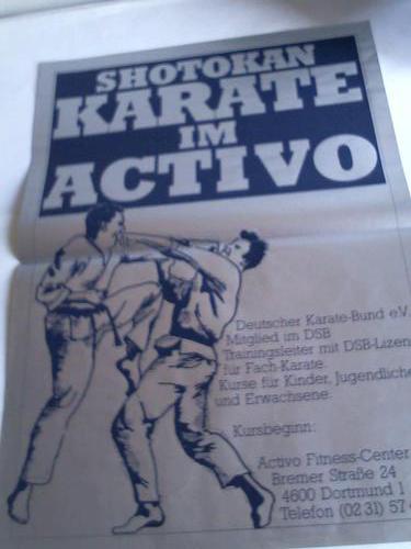 (Shotokan Karate-Plakat) - Shotokan Karate im Activo. Plakat im Silberdruck