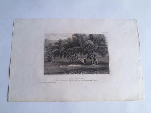 St. Helena - Napoleons`s Grab. Fr das Universum, nach der Natur gezeichnet am 16. Sept. 1838 von E.v.L.. Stahlstich um 1850