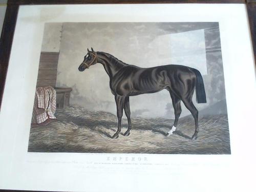 Shayer, W. - Emperor. Winner of the Gold Cup 1844 & the Emperors Plate 1845. Handcolorierte Radierung und Aquatinta um 1844. Gestochen von Charles Hunt
