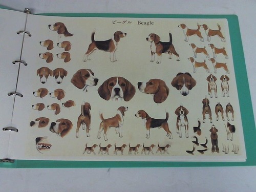 Illustrated Breed Standards
