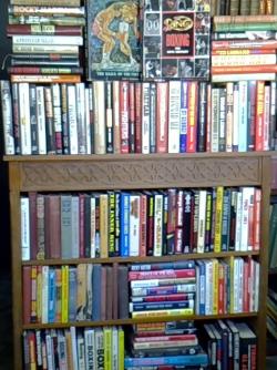 Huge collection of 165 books on boxing in English