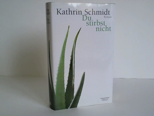 Schmidt, Kathrin - Du stirbst nicht
