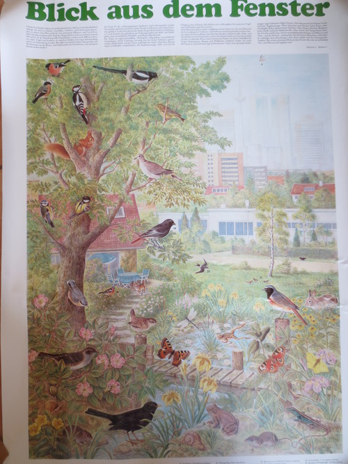 Schautafel - Blick aus dem Fenster