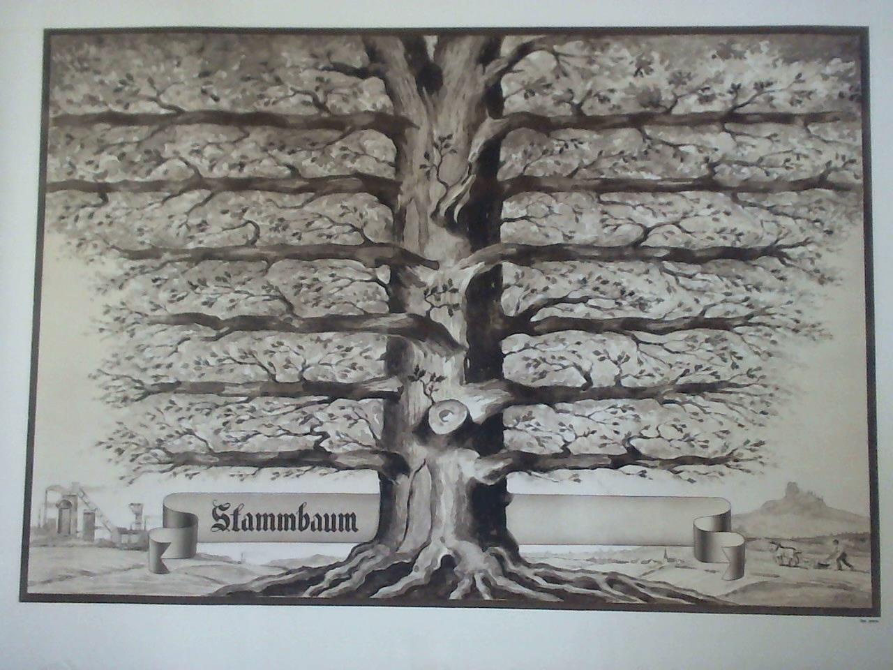 Ohne Bild