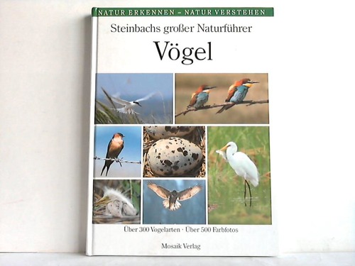 Witt, Reinhard - Steinbachs groer Naturfhrer Vgel. ber 300 Vogelarten - ber 500 Farbfotos