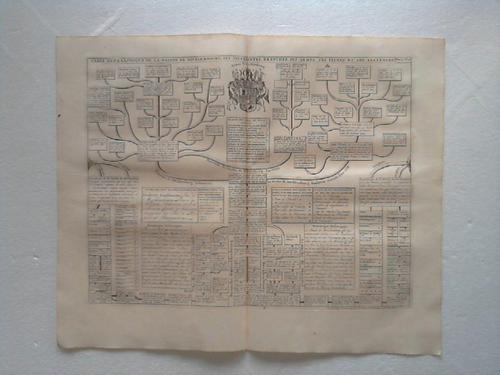 Haus Mecklenburg - Stammtafeln mit Wappen - Carte Genealogique De La Maison De Mecklembourg, Ses Differentes Branches, Ses Armes, Ses Titres Et Ses Alliances