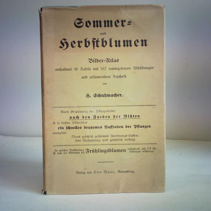 Sommer- und Herbstblumen. Bilder-Atlas enthaltend 40 Tafeln mit 162 naturgetreuen Abbildungen und erläuterndem Textheft