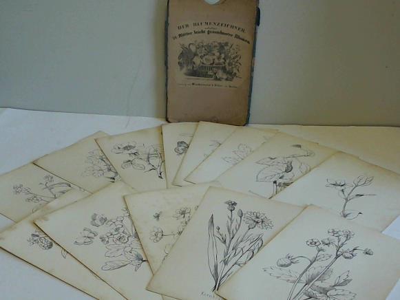 (Der Blumenzeichner) - 13 (von 24) Bltter leicht gezeichneter Blumen