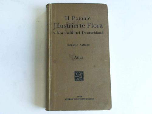 Potonie, H. - Illustrierte Flora von Nord- und Mitteldeutschland, 2. Band: Atlas