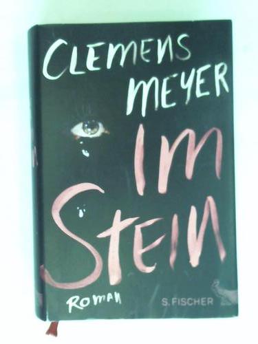 Meyer, Clemens - Im Stein
