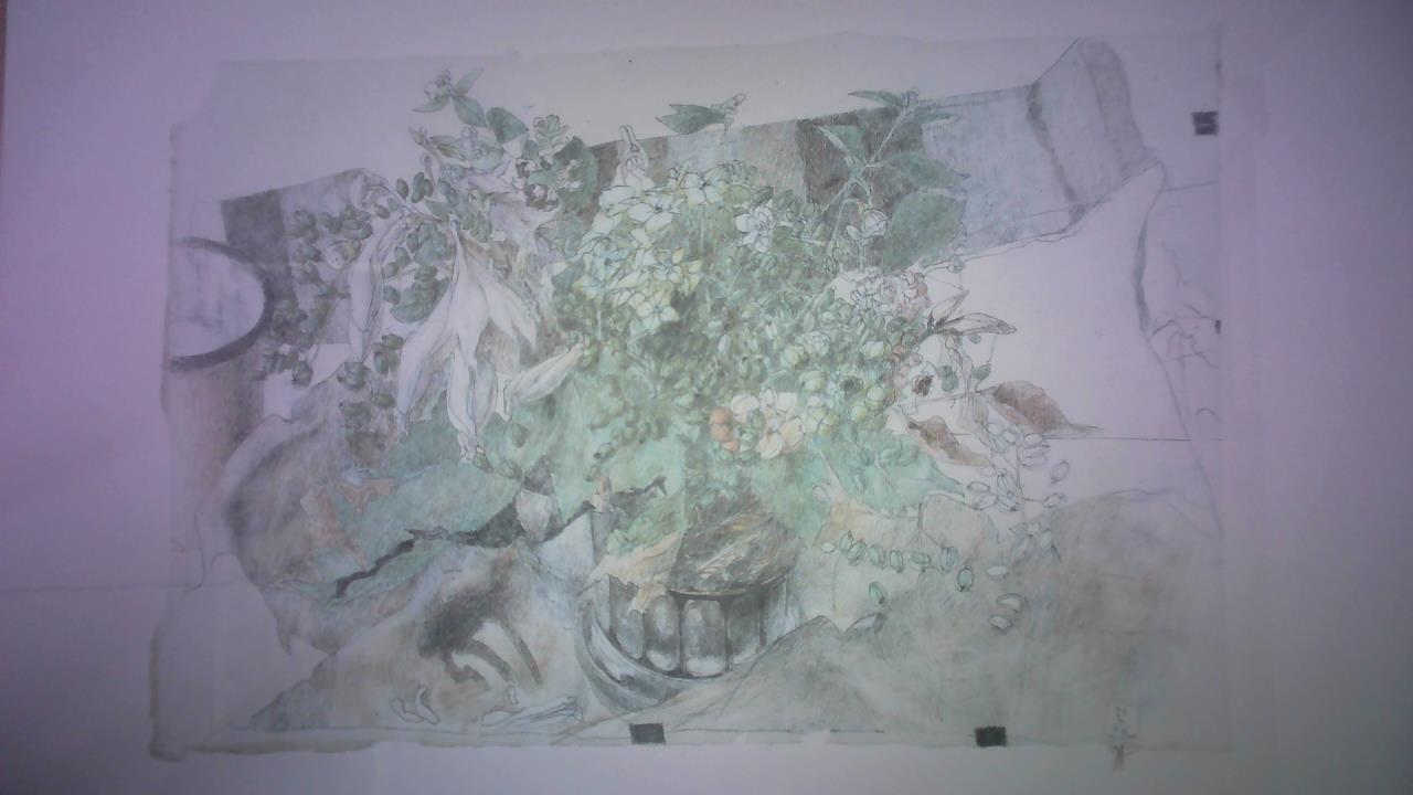 Ohne Bild