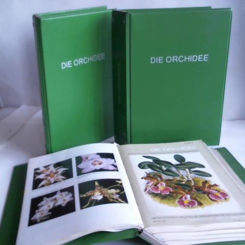 Deutsche Orchideen-Gesellschaft (Hrsg.) - Die Orchidee. Beitrge zur Frderung der Orchideenkunde. 3 Jahrgnge 1980/ 1981/ 1982 in 18 Heften in 3 Ordnern
