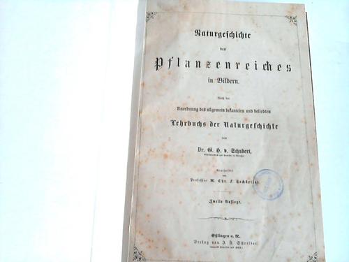 Schubert, Gotthilf Heinrich von - Naturgeschichte des Pflanzenreiches in Bildern. Nach der Anordnung des allgemein bekannten und beliebten Lehrbuchs der Naturgeschichte