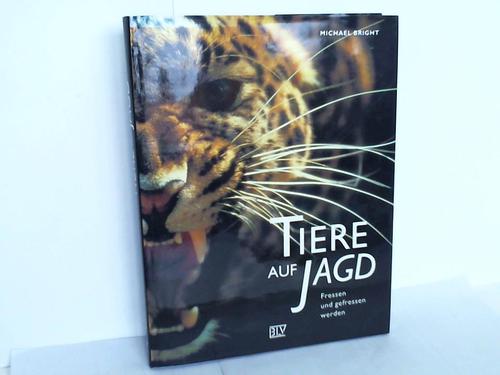 Bright, Michael - Tiere auf Jagd. Fressen und gefressen werden