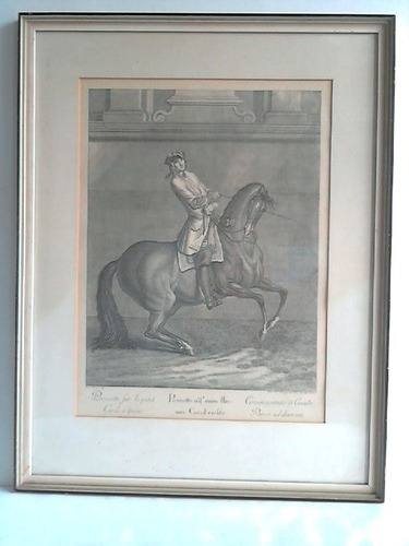 Ridinger, Joh. El. - Reiter auf Pferd: Pirouette sur le petit Cercle  droite / Pirouette auf einem kleinen Circul rechts / Circumagitation in Circulo Parvo ad dextram - Sehr schne Lithographie
