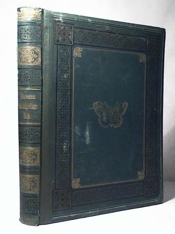 Heinemann, H. v./ Steudel, W. - Fr. Berge's Schmetterlings-Buch