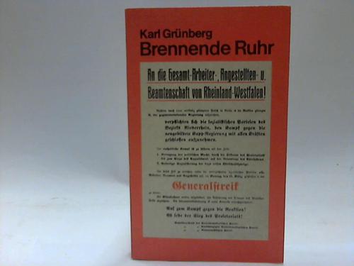 Grnberg, Karl - Brennende Ruhr. Roman aus der Zeit des Kapp-Putsches