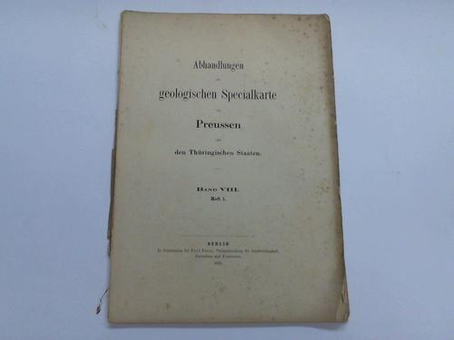 Berendt, G. / Dames, W. / Klockmann, F. - Geognositsche Beschreibung der Umgegend von Berlin