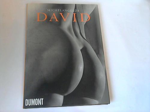 Paolucci, Antonio - Michelangelos David. Vom Symbol zum Mythos