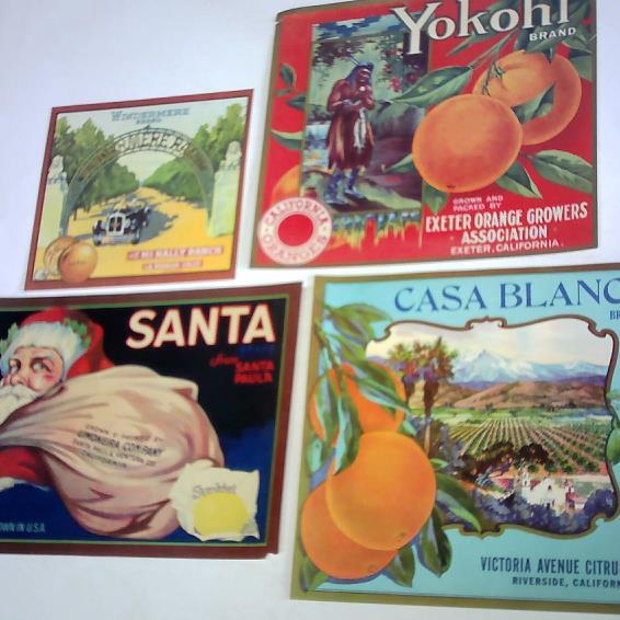 (Reklame / Werbung) - 4 Reklamebltter fr Obst und Limonaden