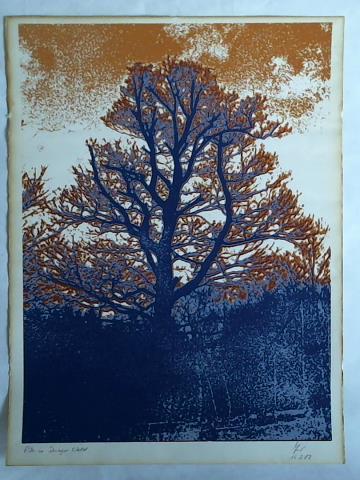 (Original-Grafik) - Eiche in Duinger Wald - Farblithographie