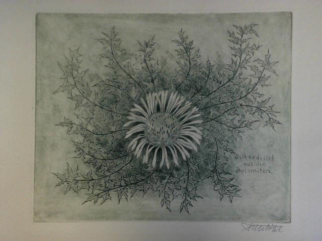 Btel, Fritz (1896 - 1984) - Silberdistel aus den Dolomiten - Original Radierung