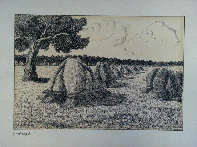 (Original Grafik) - Erntezeit - Federzeichnung. Eine Reihe Diemen auf dem Feld