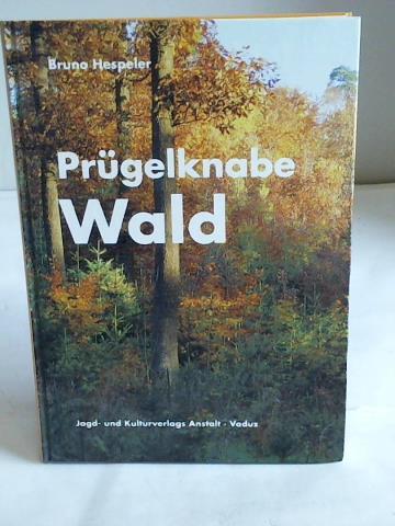 Hespeler, Bruno - Prgelknabe Wald