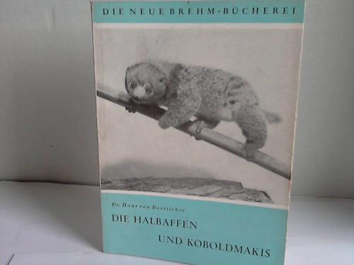 Boetticher, Hans von - Die Neue Brehm-Bcherei. Die Halbaffen und Koboldmakis