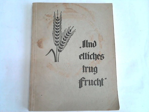 Ohne Bild