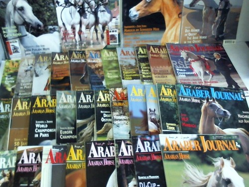Araber Journal - Arabian Horse Europe. 37 Hefte