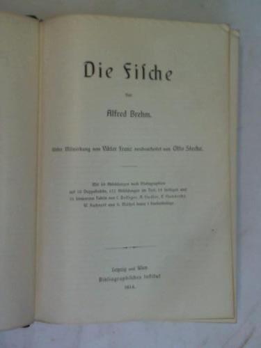 Strassen, Otto zur (Hrsg.)/ Brehm, Alfred/ Franz, Viktor/ Steche, Otto - Brehms Tierleben. Allgemeine Kunde des Tierreichs. Die Fische