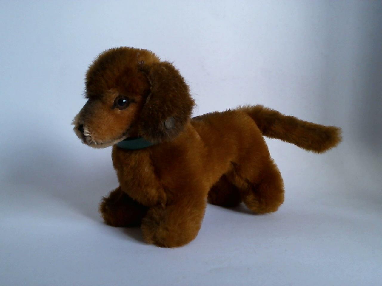 (Plschtier / Stofftier) - Steiff-Hund Hexie, (Dackel)