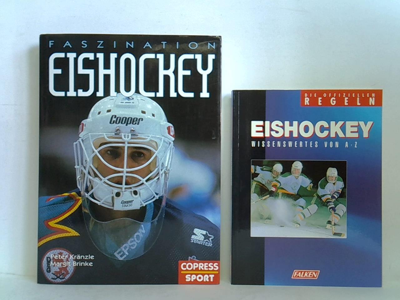 Faszination Eishockey