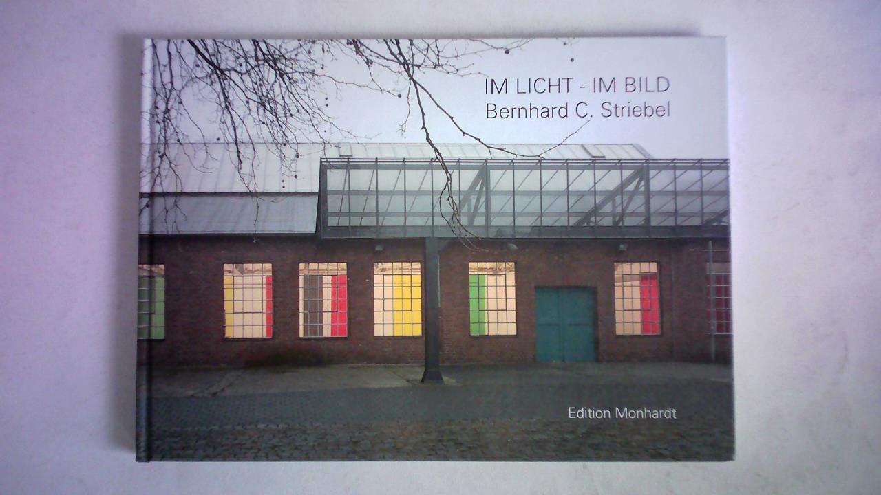 Verein fr aktuelle Kunst/Ruhrgebiet e.V., Oberhausen (Hrsg.) - Im Licht - Im Bild. Bernhard C. Striebel