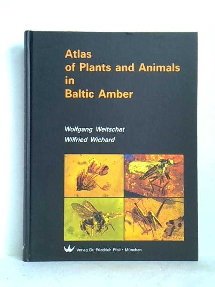 Atlas of Plants and Animals in Baltic Amber