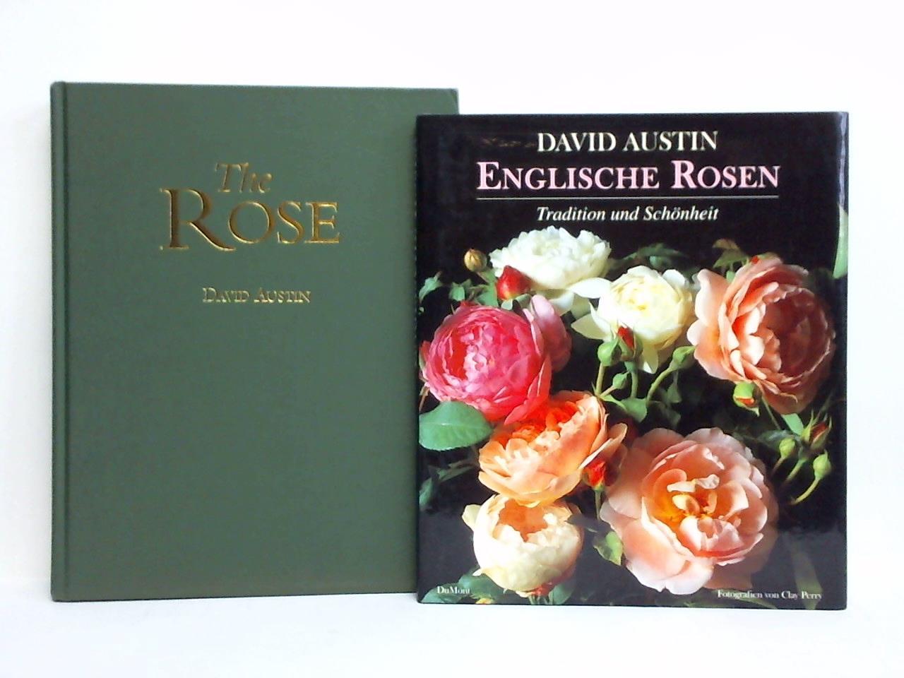 Austin, David - The Rose