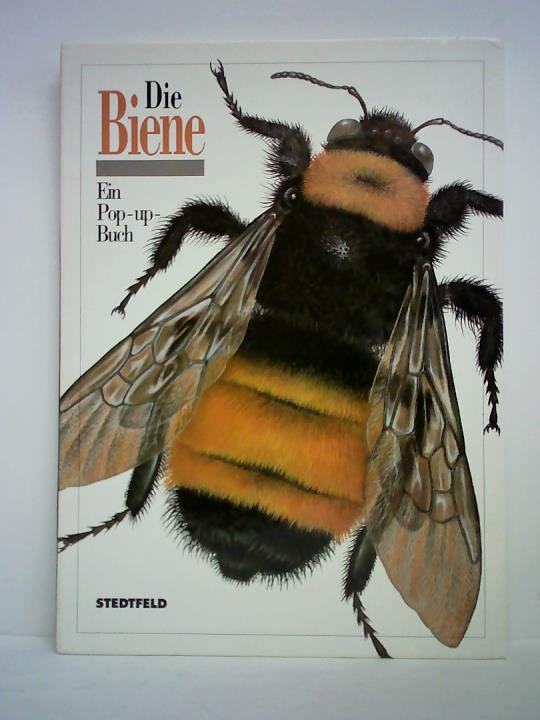 Norden, Beth B. (Text) - Die Biene. Ein Pop-up-Buch
